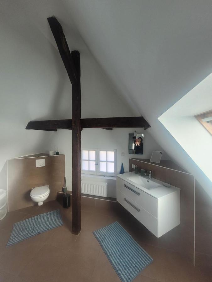 Studio 50M2 Au Bord De L'Eau A 스트라스부르 외부 사진
